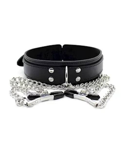 Juicer Collar And Nipple Clamps — image 5 of 6