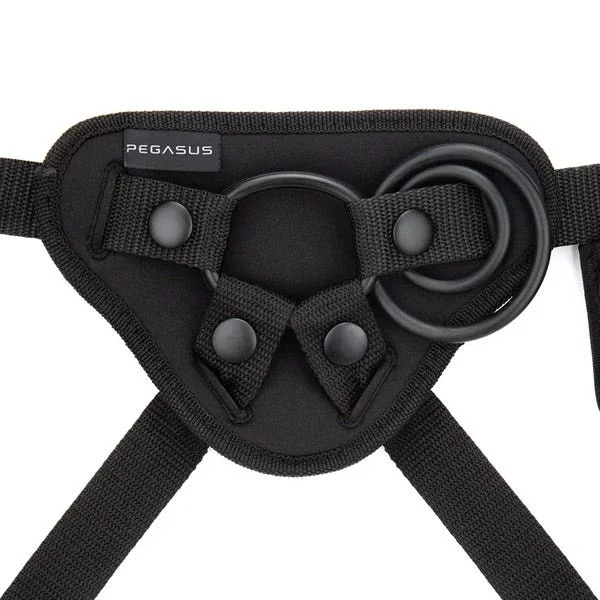 Pegasus 6-inch RC P-Spot G-Spot Peg and Harness — image 11 of 12
