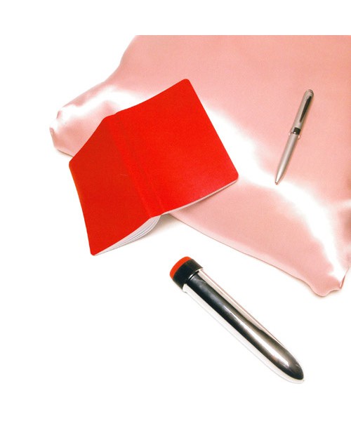 SexToys 101 — image 4 of 5