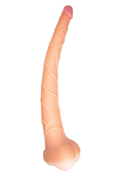 Real Cocks 14 Inch Masturbator and Dildo — image 13 of 17