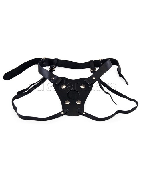 Dildo harness - dual strap style
