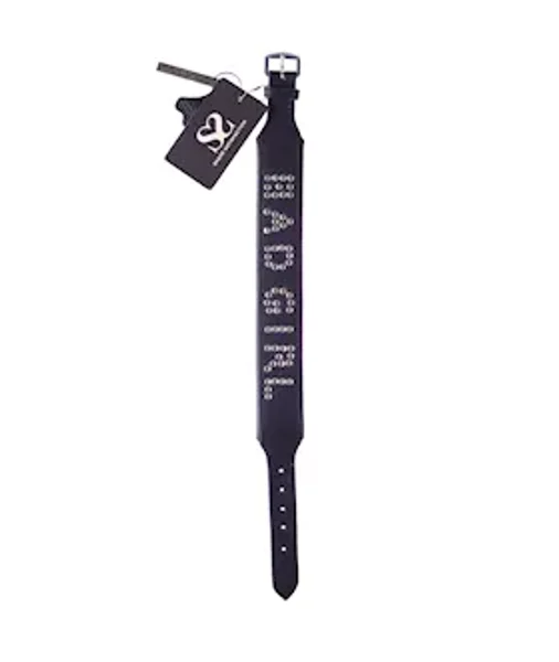 Bound X Bad Girl Studded Collar — image 4 of 4