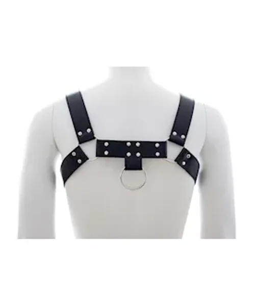 Chest Harness — image 6 of 6