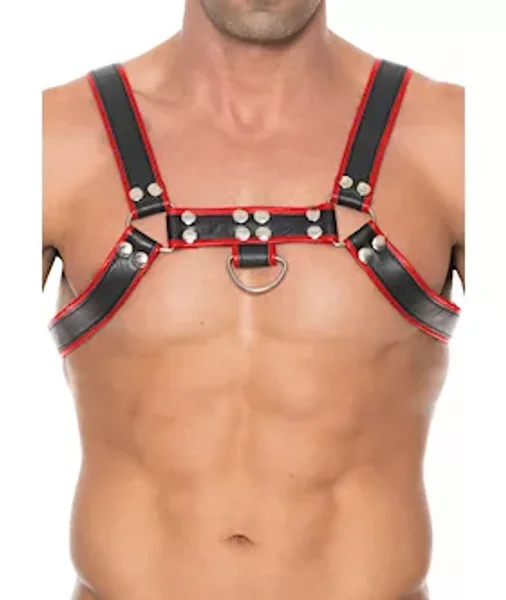 Chest Bulldog Harness — image 6 of 6
