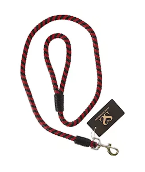 Bound X Braided Leather Leash — image 4 of 6
