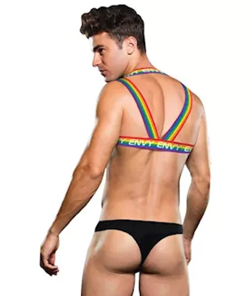 Envy Rainbow Harness Lxl Bx — image 5 of 6