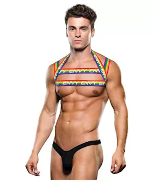 Envy Rainbow Harness Lxl Bx — image 4 of 6