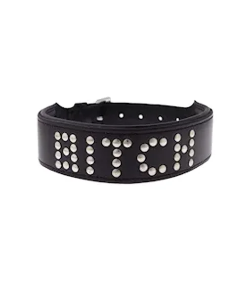Bound X Bitch Studded Collar — image 3 of 4