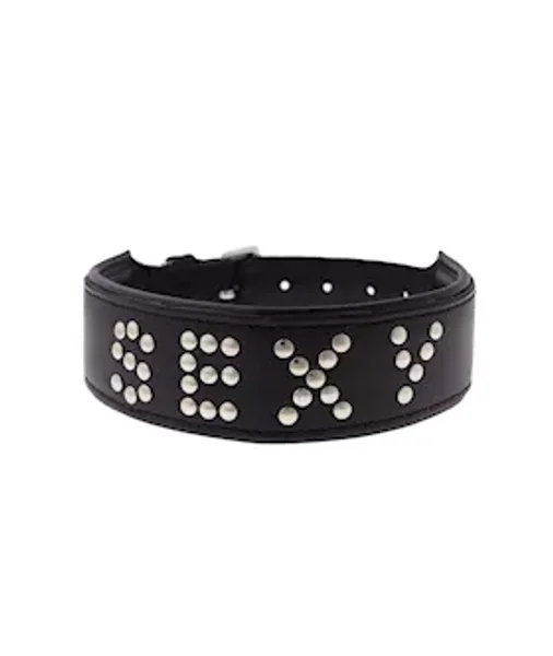Bound X Sexy Studded Collar — image 3 of 4