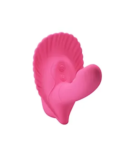The Fancy Clamshell — image 7 of 9