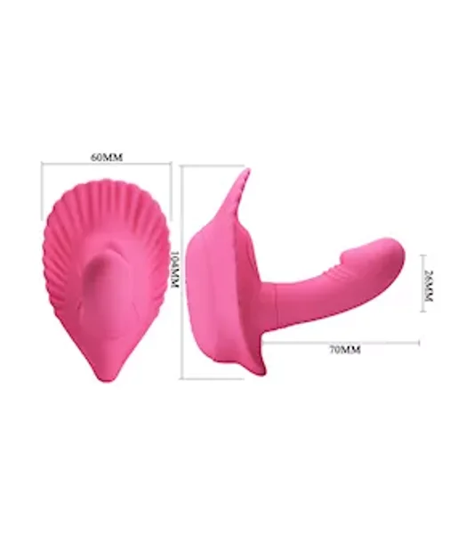 The Fancy Clamshell — image 9 of 9