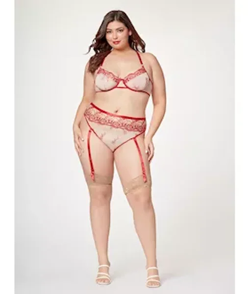 Sheer Elegance Two Piece Bra Set Stm-11484x-red-3x/4x — image 3 of 4