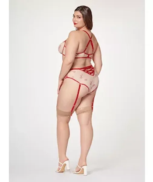 Sheer Elegance Two Piece Bra Set Stm-11484x-red-3x/4x — image 4 of 4