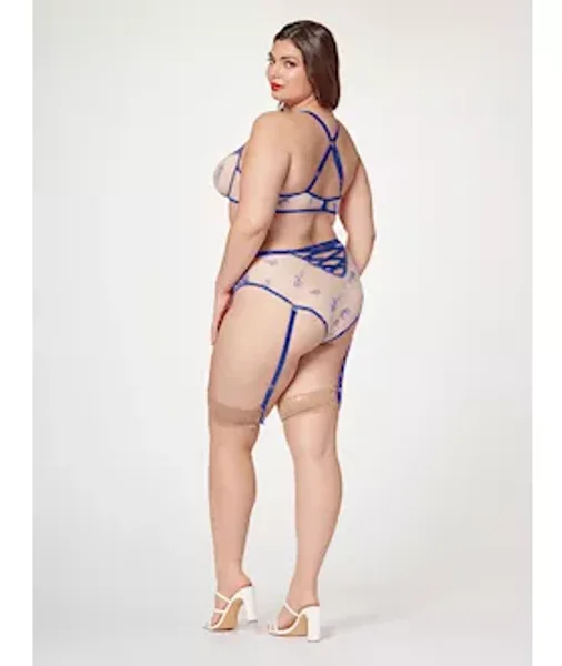 Sheer Elegance Two Piece Bra Set Stm-11484x-blue-1x/2x — image 4 of 4