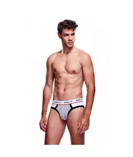 Envy Mesh Brief — image 2 of 2