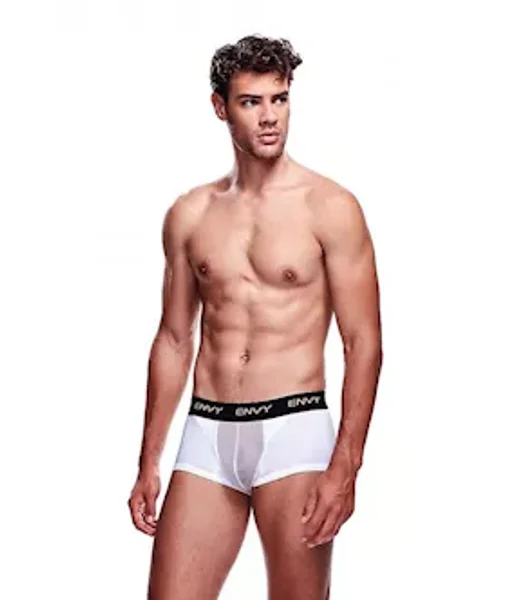 Envy Mesh Short Boxer — image 3 of 3