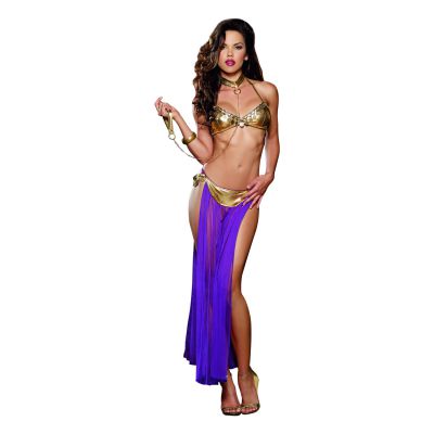 Dreamgirl Exotic Harem Slave Costume
