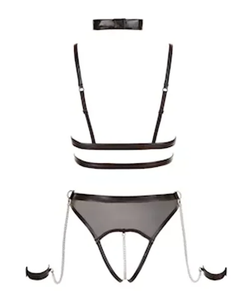 Wetlook Bodysuit With Choker — image 8 of 8