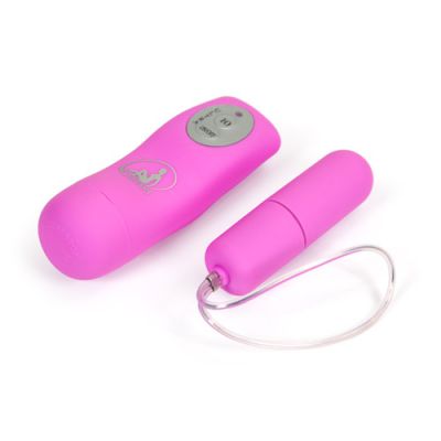 Pleasure bullet remote control