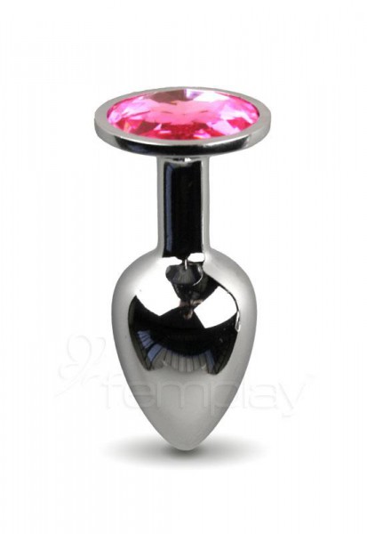 The Silver Starter Anal Plug