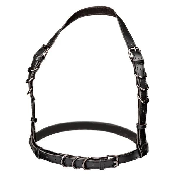 Euphoria Collection Halter Buckle Harness - Black — image 7 of 11