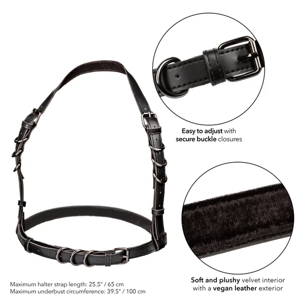 Euphoria Collection Halter Buckle Harness - Black — image 11 of 11