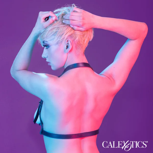 Euphoria Collection Halter Buckle Harness - Black — image 10 of 11