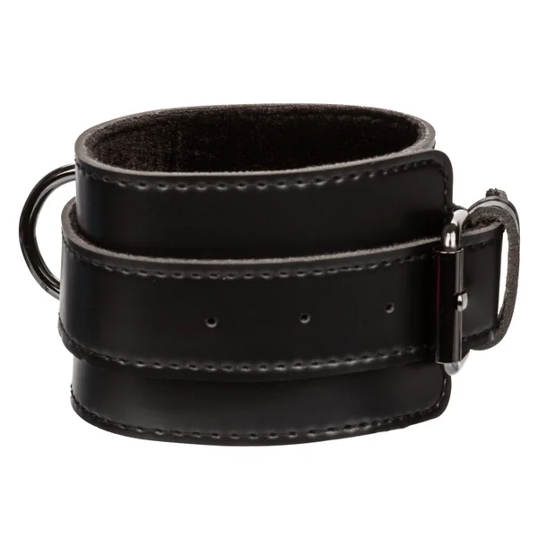 Euphoria Collection Hog Tie - Black — image 12 of 15
