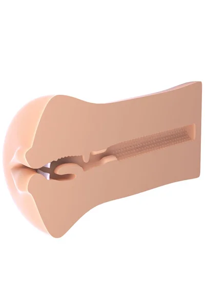 Pipedream Realistic 6.4" Deep Throat Masturbator with Teeth — image 9 of 10