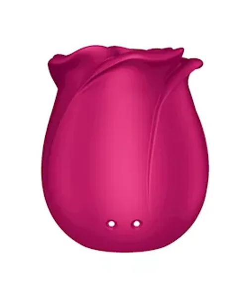Satisfyer Pro 2 Classic Blossom — image 16 of 20