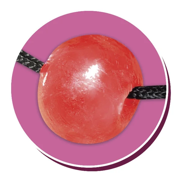 Pipe Dreams Bachelorette Party Favors Bridezilla Ball Gag — image 4 of 4