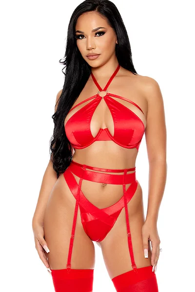 Forplay Soft Life 3 Piece Red Satin Bra Set with Garter Belt & Panty — image 4 of 6