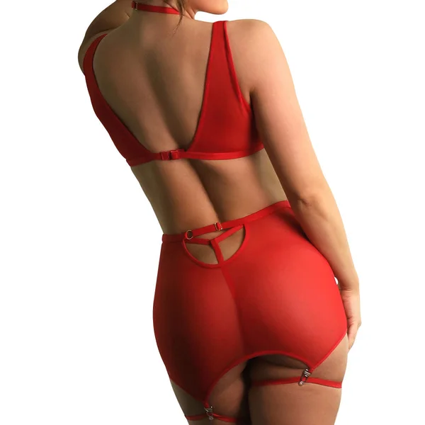 Fantasy Lingerie Tease Vaughn Bralette, Gartered Skirt & Panty Set — image 7 of 9