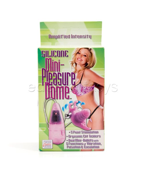 Mini-pleasure dome — image 5 of 5