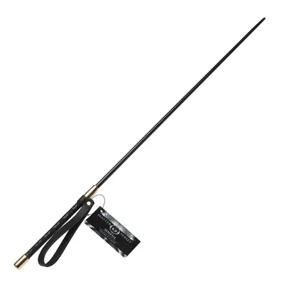 master series sinful impact cane black plastic cane whip