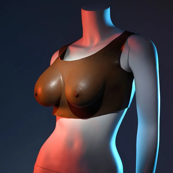 Gender X UNDERGARMENTS - PLATE C-CUP - Dark - Brown Wearable Breasts - C-Cup Size — image 5 of 9