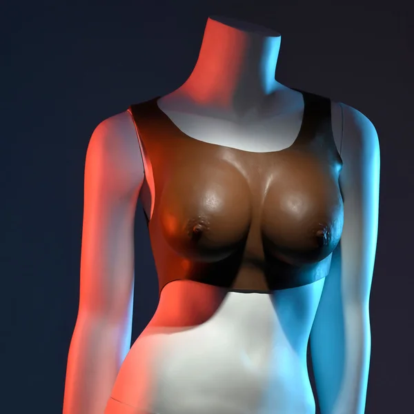 Gender X UNDERGARMENTS - PLATE C-CUP - Dark - Brown Wearable Breasts - C-Cup Size — image 4 of 9