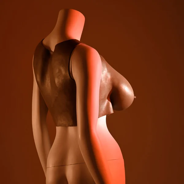 Gender X UNDERGARMENTS - PLATE E-CUP - Dark - Brown Wearable Breasts - E-Cup Size — image 6 of 9