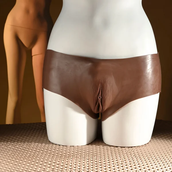 Gender X UNDERGARMENTS - BRIEFS - Dark - Brown Wearable Vagina Briefs — image 2 of 9