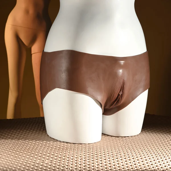Gender X UNDERGARMENTS - BRIEFS - Dark - Brown Wearable Vagina Briefs — image 3 of 9