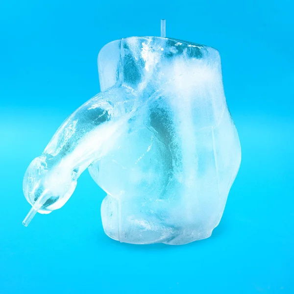 Huge Penis Ice Luge - Party Novelty — image 6 of 8