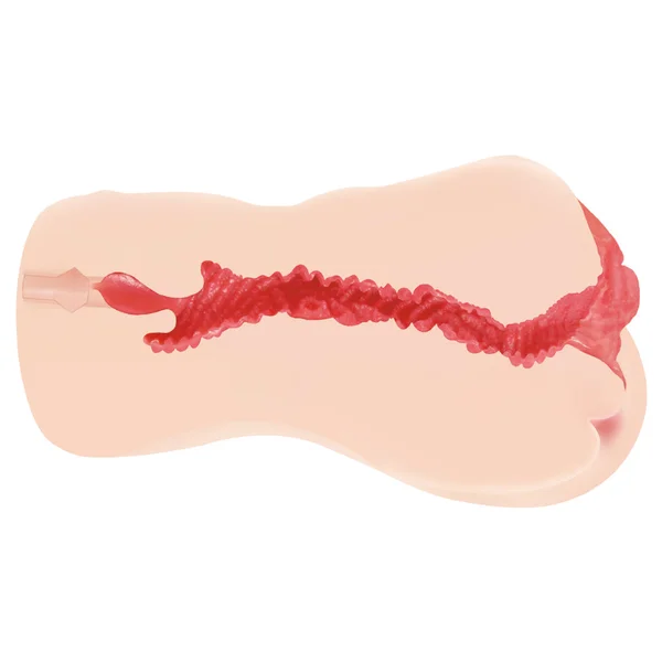 Kokos Vanilla Onahole 004 - Flesh Dual Layer Vagina Stroker — image 8 of 9