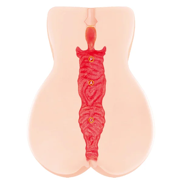 Kokos Vanilla Onahole 004 - Flesh Dual Layer Vagina Stroker — image 7 of 9