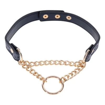 sex mischief cougar day collar navy bluegold collar