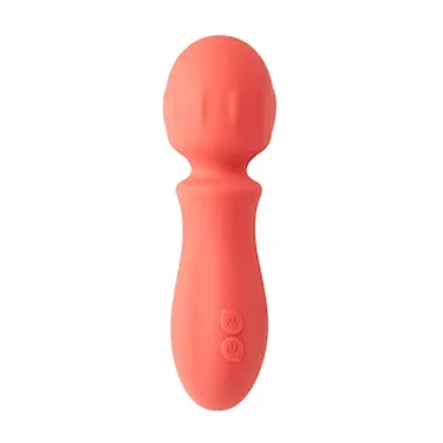 amore raunchy mini wand