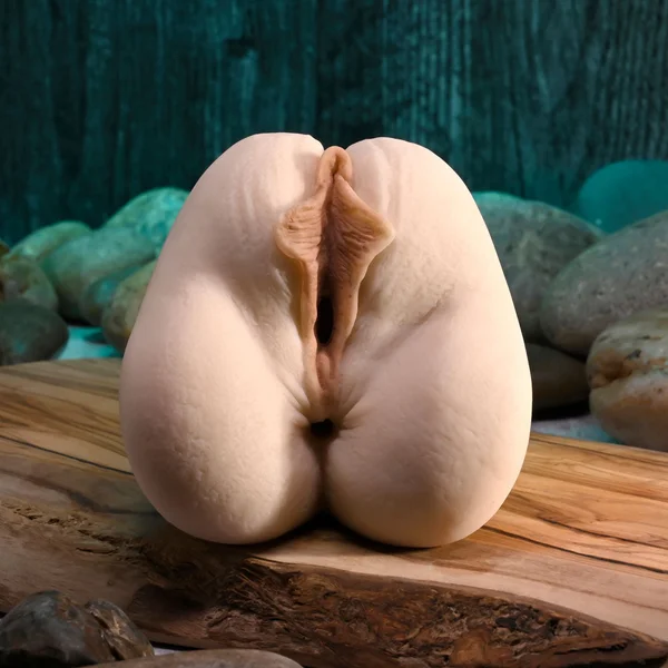 Zero Tolerance DANI DANIELS MOVIE WITH VAGINA & ANAL STROKER - Flesh Vagina Stroker with Free Movie Download — image 4 of 9