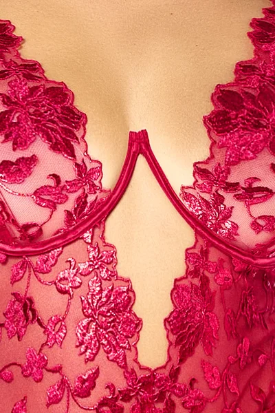 Mapale by Espiral Crimson Desire Embroidered Lace Teddy — image 3 of 5