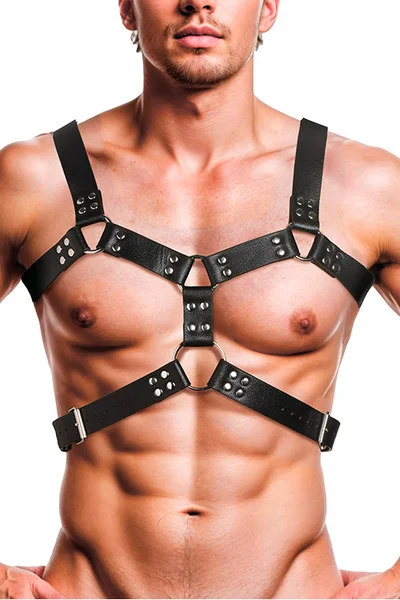 Strict 6 O Ring Chest Harness — image 5 of 12