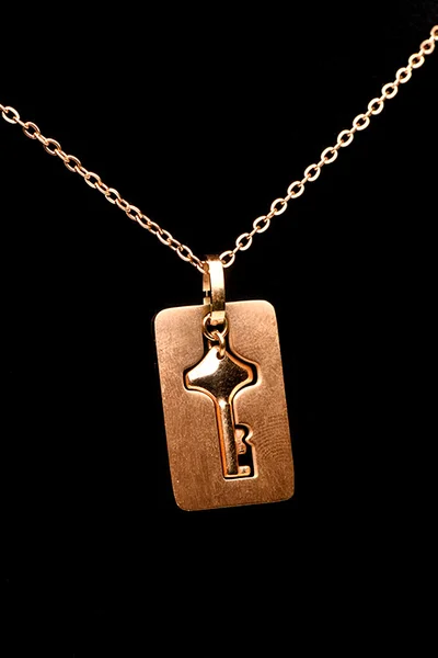 Master Series Cuffed Locking Bracelet & Key Necklace — image 5 of 18