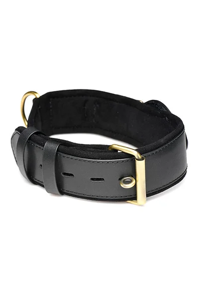 Master Series Tracer Adjustable Tracking Collar — image 3 of 3